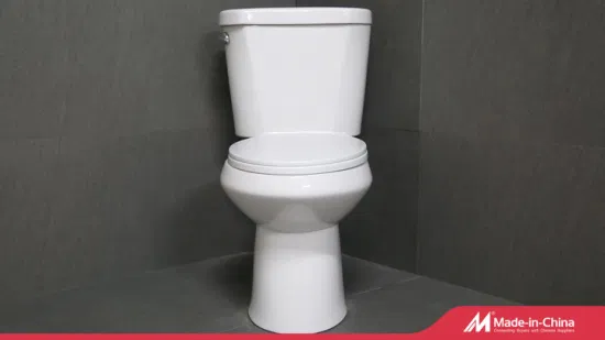 Artículos sanitarios de China Las 10 mejores marcas Guangzhou Upflush Made Set de inodoro Sit